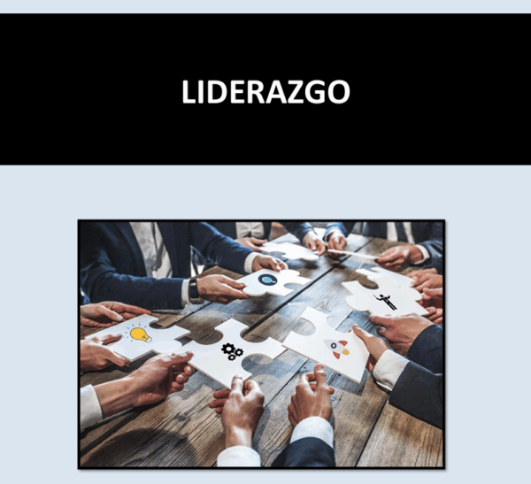 LIDERAZGO